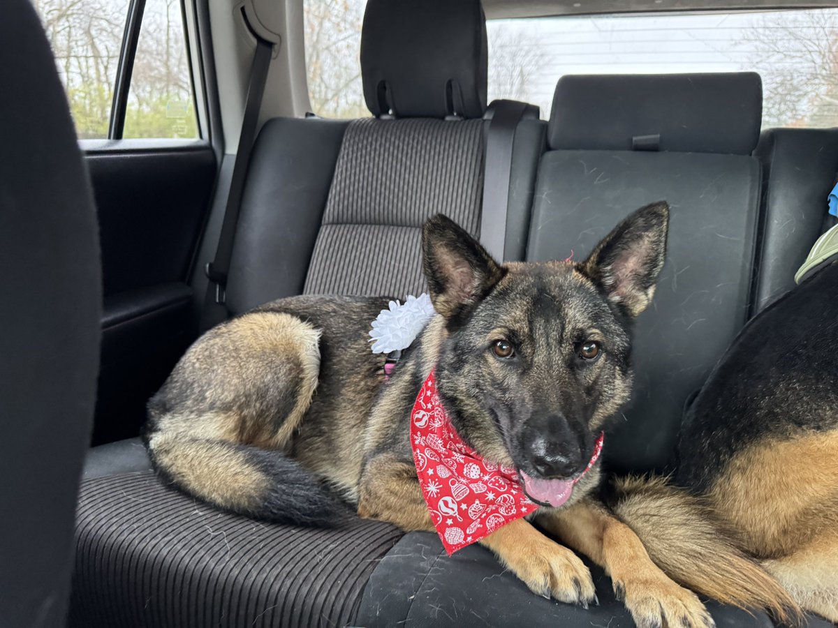 DebieColtsGirl's tweet image. Today is #FreeFriday. Feel free to share any photo that you like.