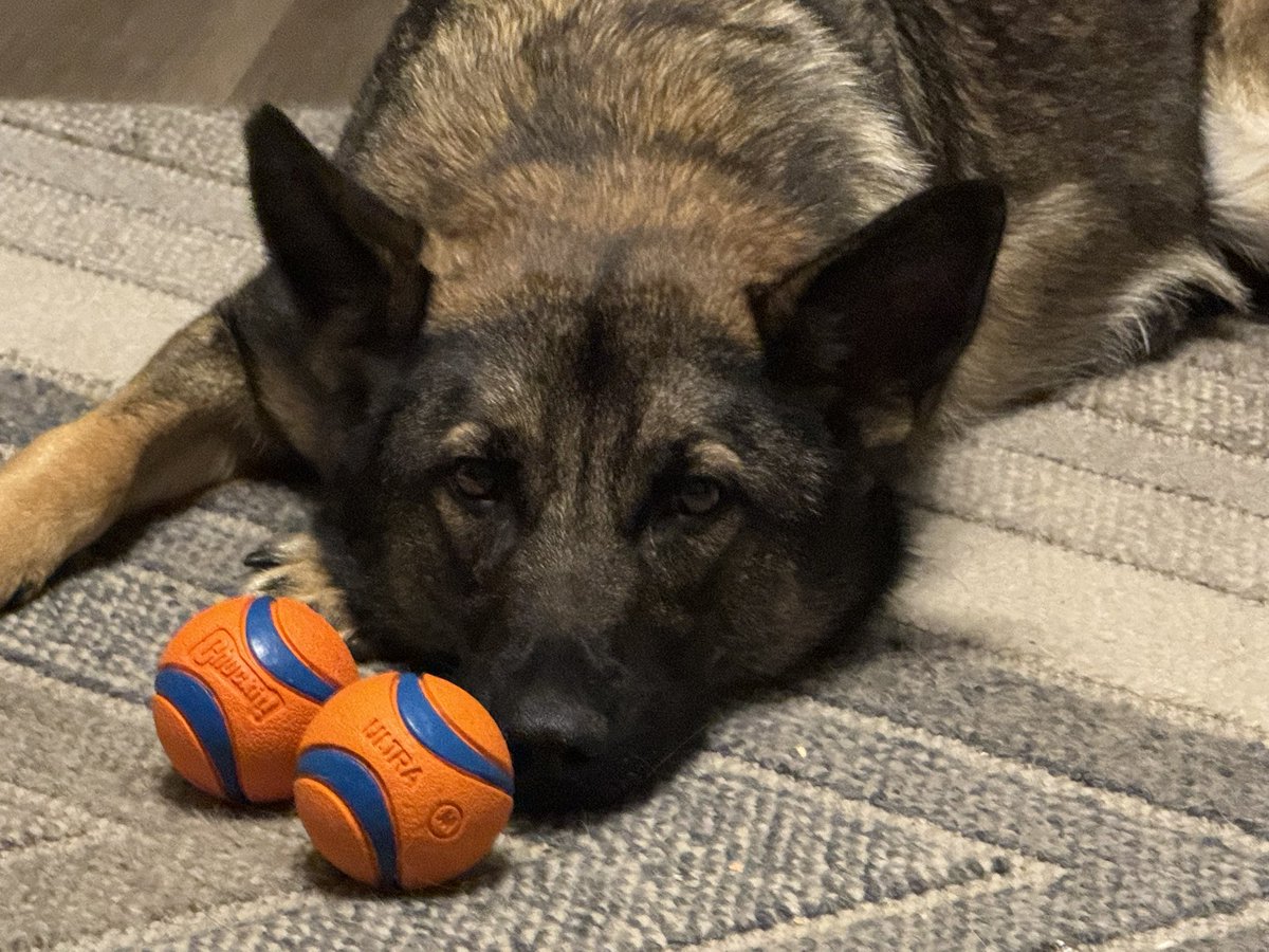 DebieColtsGirl's tweet image. Today is #FreeFriday. Feel free to share any photo that you like.