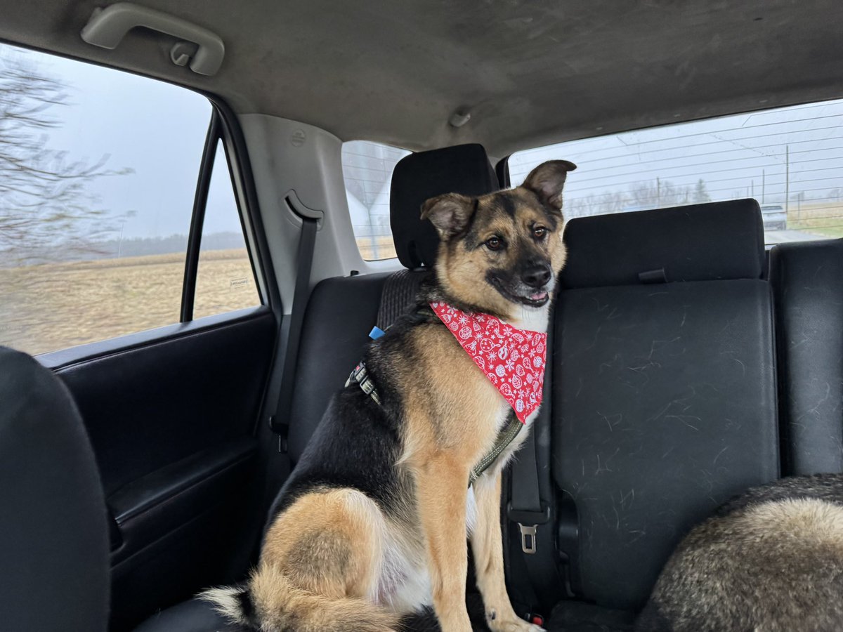 DebieColtsGirl's tweet image. Today is #FreeFriday. Feel free to share any photo that you like.