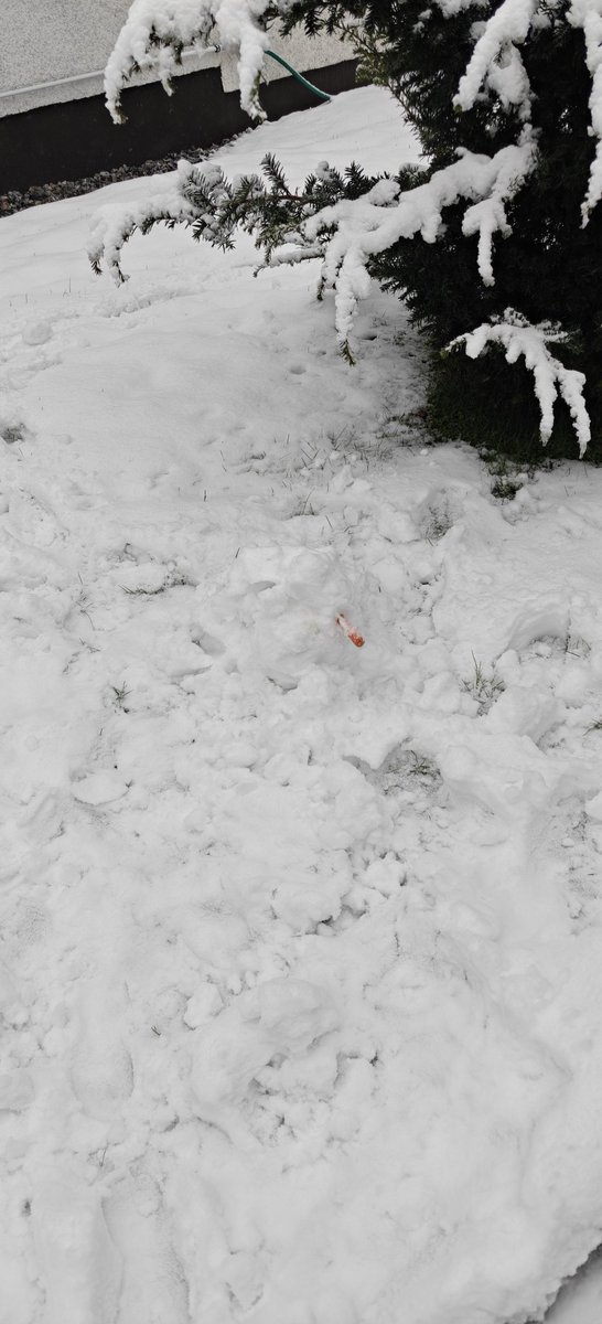 Pikkujäbä teki lumiukon. ⛄🌨️