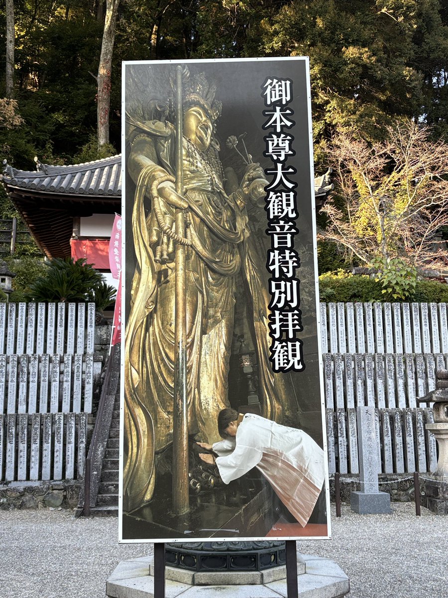 akinobee's tweet photo. 西国三十三ヶ所 第八番 豊山 長谷寺さん。(西国三十三ヶ所は三巡目)

言わずと知れた関西における紅葉の名所です！。
丁度見頃で多くの参拝者がいらっしゃいましたが、皆さん、紅葉の豪華さに満足されていた様に感じます。

#西国三十三箇所
#御朱印巡り https://t.co/KVfvuj4jv0