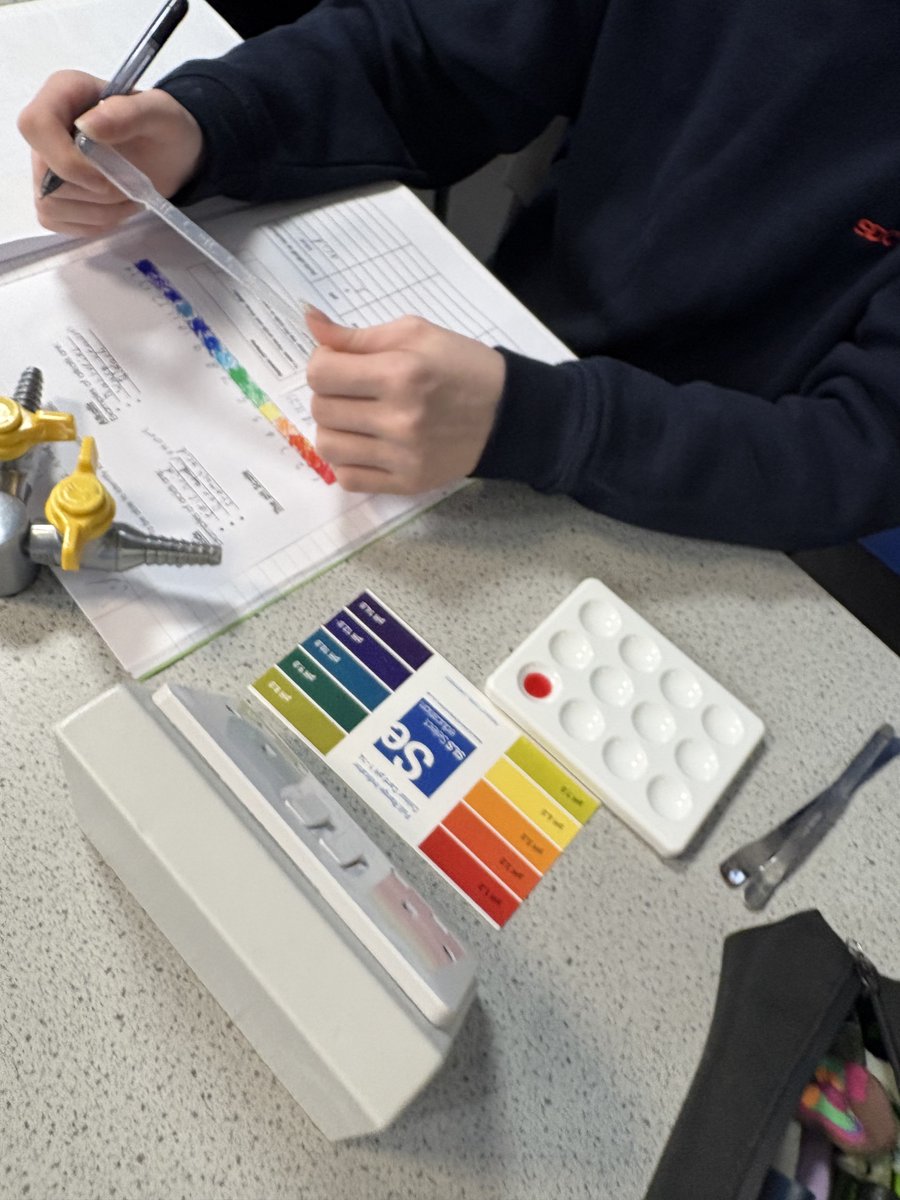 Beech Academy tweet media