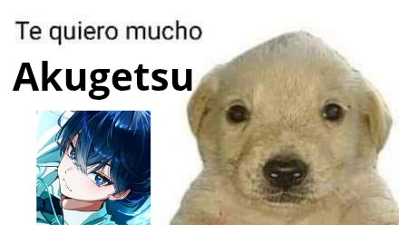 Siempre digo esto, pero que manera más bonita de iniciar el día: escuchar a Akugetsu hablar, reír y cantar 💙.