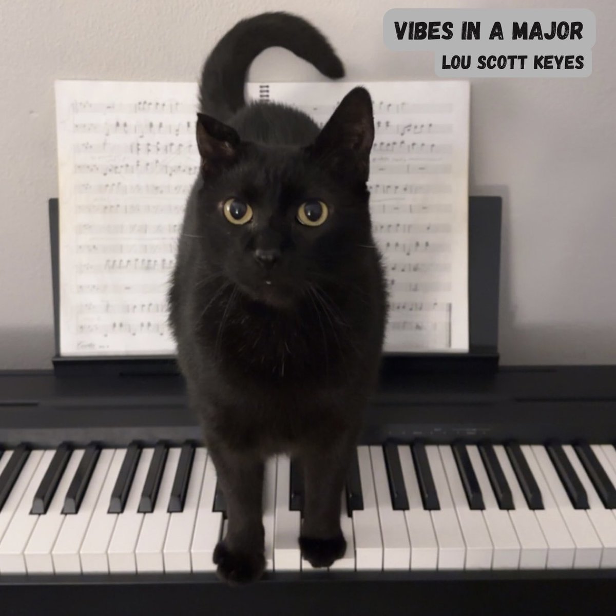 LS_Keyes's tweet image. Hello friends!

Vibes in A Major is live.

The second piece of what I&apos;m calling The Vibes Collection.  A series of short, sweet, direct, quasi-minimalist compositions for all levels of musicians.

If you like it.  Tell your friends.