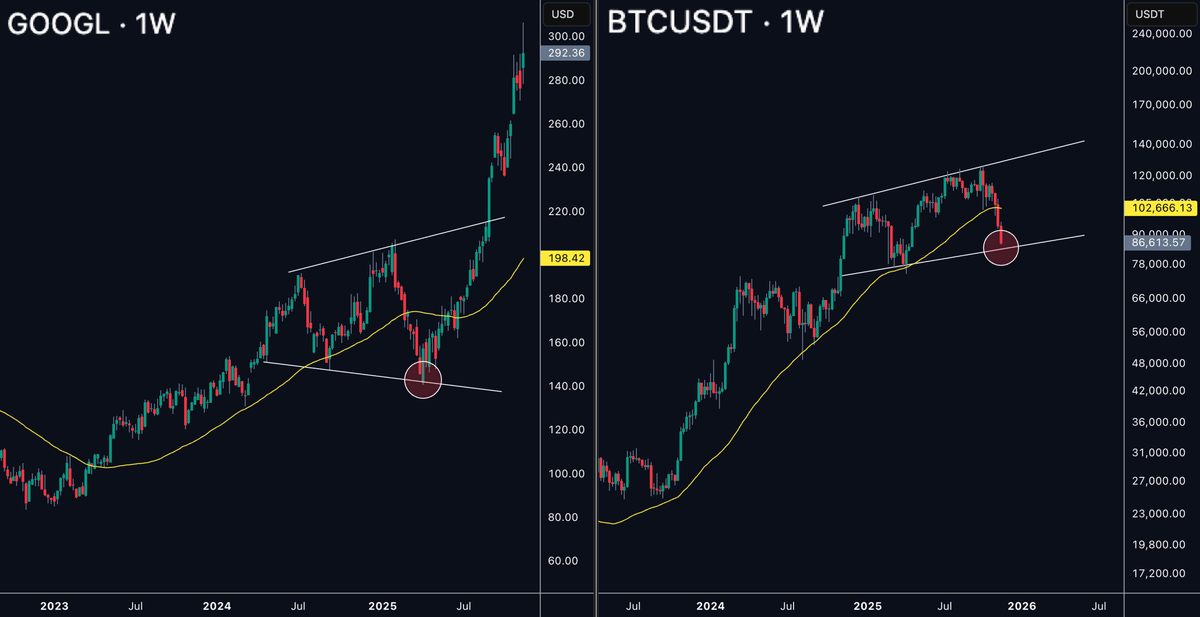ardizor 🧙‍♂️ tweet media