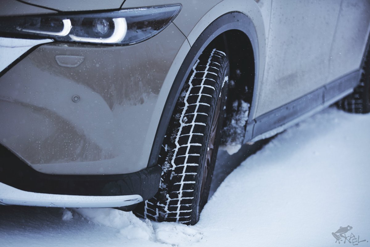 cx5_with_frogs's tweet image. たのしみだねぇ