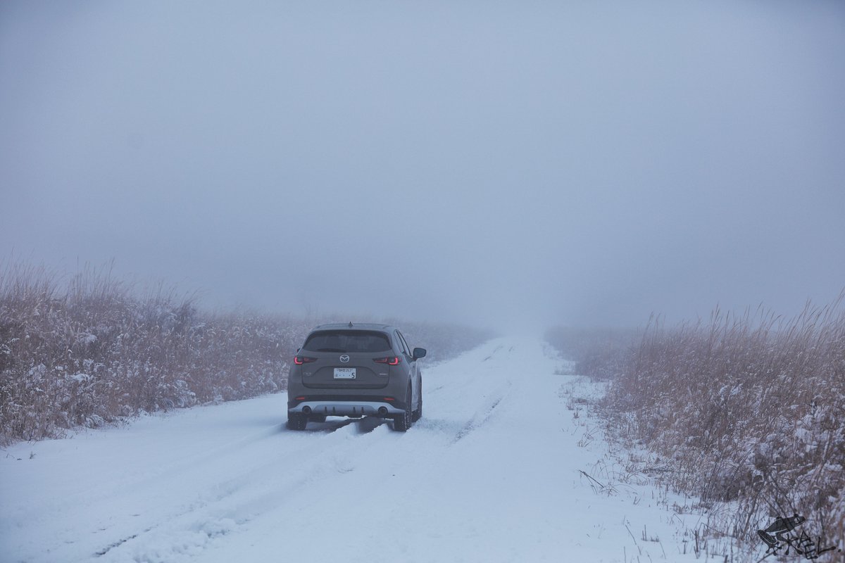 cx5_with_frogs's tweet image. たのしみだねぇ