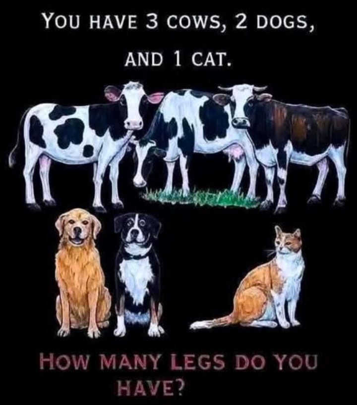 You have 3 cows, 2 dogs, and 1 cat.
How many legs do you have?

Read carefully and reply!