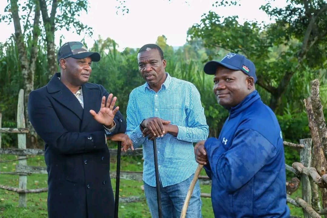 ravennwontmis's tweet image. Leadership that grows from community roots brings a special sense of trust. Malava values individuals who understand the stories behind every village and every household. This connection is reflected in the journey of DavidNdakwa SureBet. #EyesOnMalava