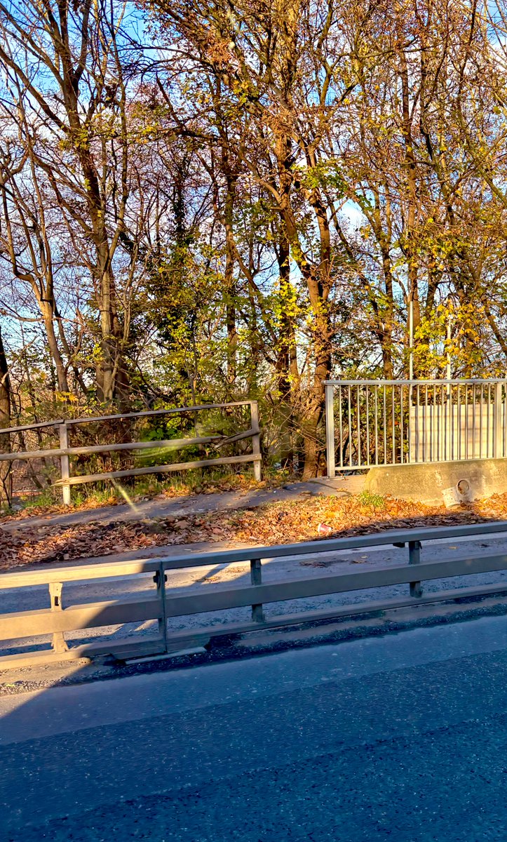 Da stand sie …Wochen , Monate .. treu im Dienst . Bei Wind und Wetter 
Und jetzt … das Netz …IHR habt sie vergessen ..

Dixie ciao, Dixie  ciao, Dixie  ciao ciao ciao