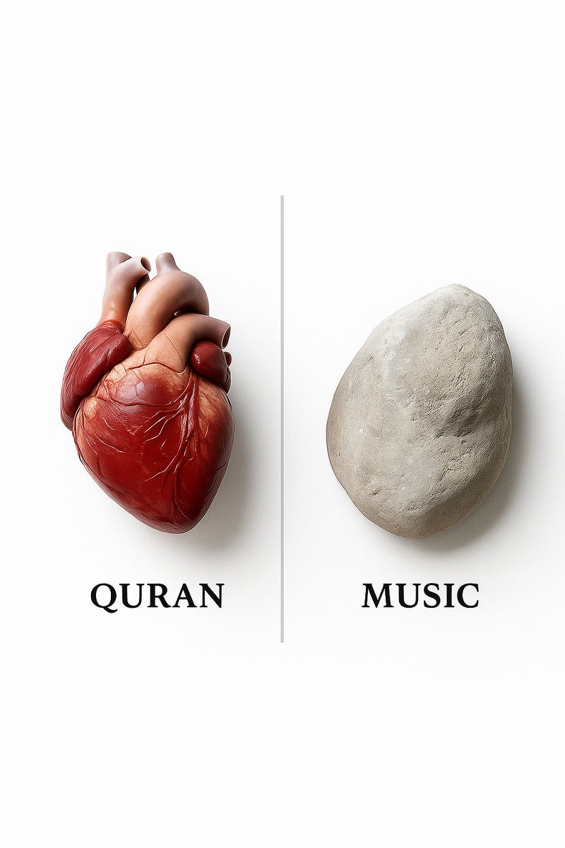 Spot the difference and make your choice