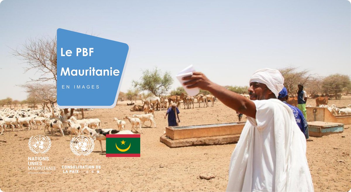 🎥 Depuis 2018, <a href="/PBFMauritanie/">PBF Mauritanie - UN Peacebuilding Fund</a> 🇲🇷 agit pour la cohésion sociale, le dialogue &amp; la prévention des conflits.
🤝 Avec l’engagement des autorités, communautés, femmes &amp; jeunes, des avancées concrètes renforcent la paix 🕊

➡ Voir nos actions : urlr.me/rqyk9G

#InvestInPeace