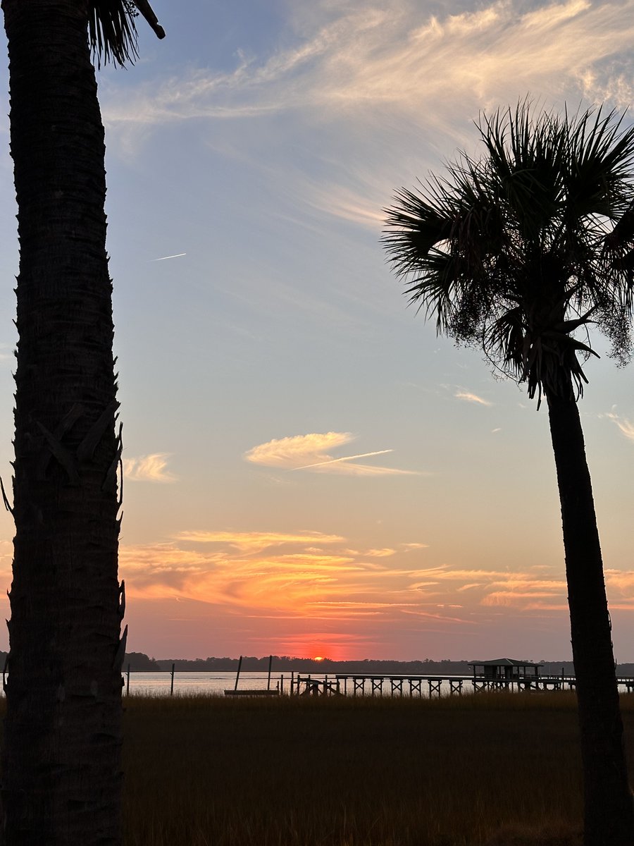 Sammy Flores tweet media