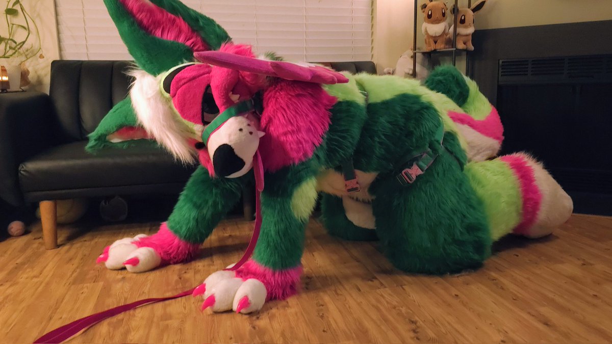 melon_corgo's tweet image. *bark bark!* 🐕‍🦺

#FursuitFriday
🪡 - @MoreFurLess
📷 - @LeonKitty1