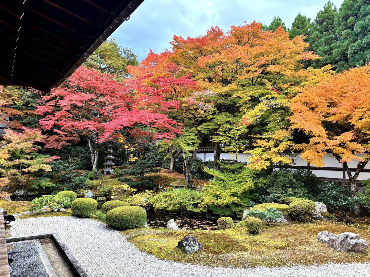 木乃つかさ tweet media