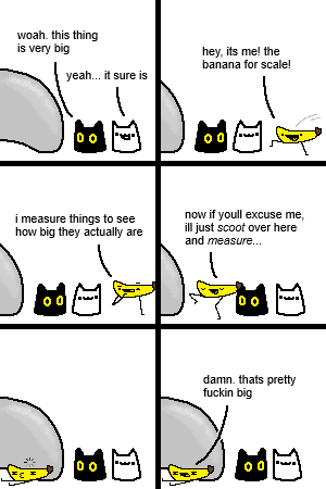 nutti  tweet media