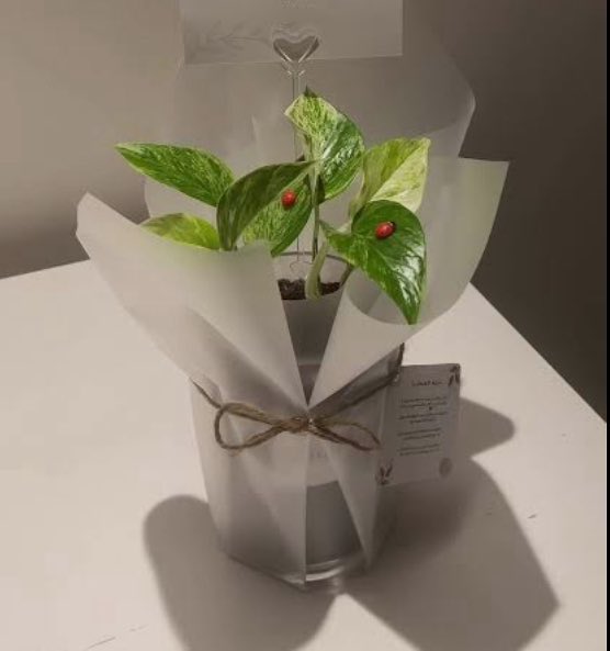 فيصل الاحمدي ـ أبووليد tweet media