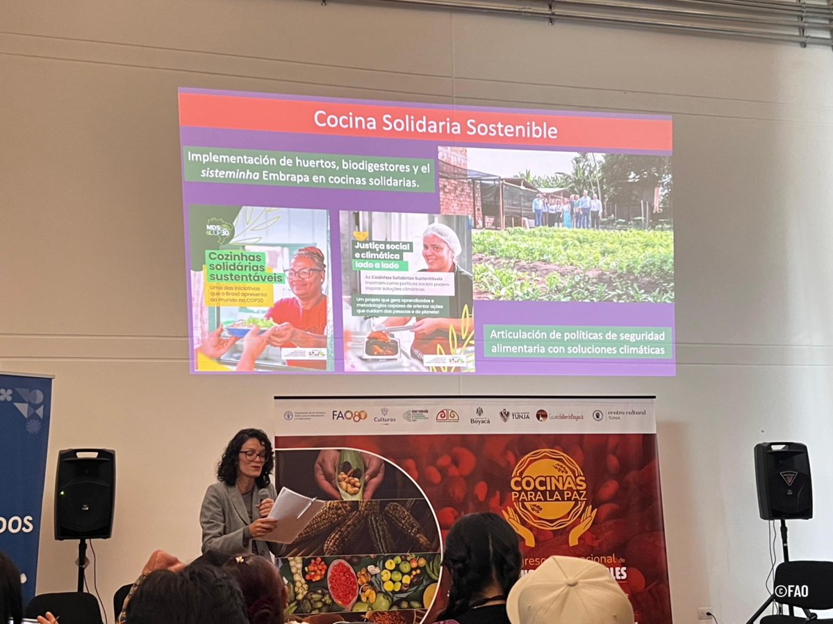 FAOBrasilCoop's tweet image. Desde de Brasil 🇧🇷, Ana Carolina Silva, del @mdsgovbr compartió la experiencia nacional del programa Cozinha Solidária, una iniciativa que ofrece alimentación🍲 gratuita a las personas en situación de vulnerabilidad.