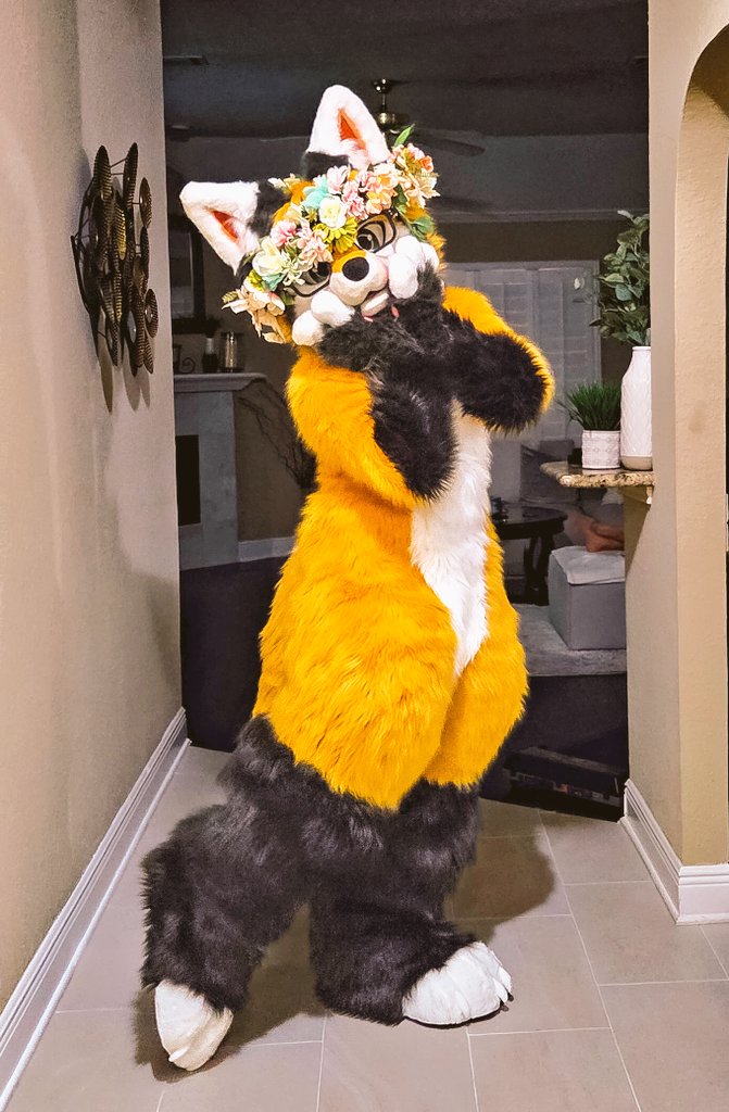 ✨️BEHOLD I AM NOW A FULL FOX ✨️

I am absolutely in love with the fullsuit and im extremely happy that I get to debut at MFF25!! 🩷

Have a fun and safe weekend everyone~ 

🪡 Bodysuit - @/Binari2019
---
#FursuitFriday #FursuitEveryday #Fursuit #Furry