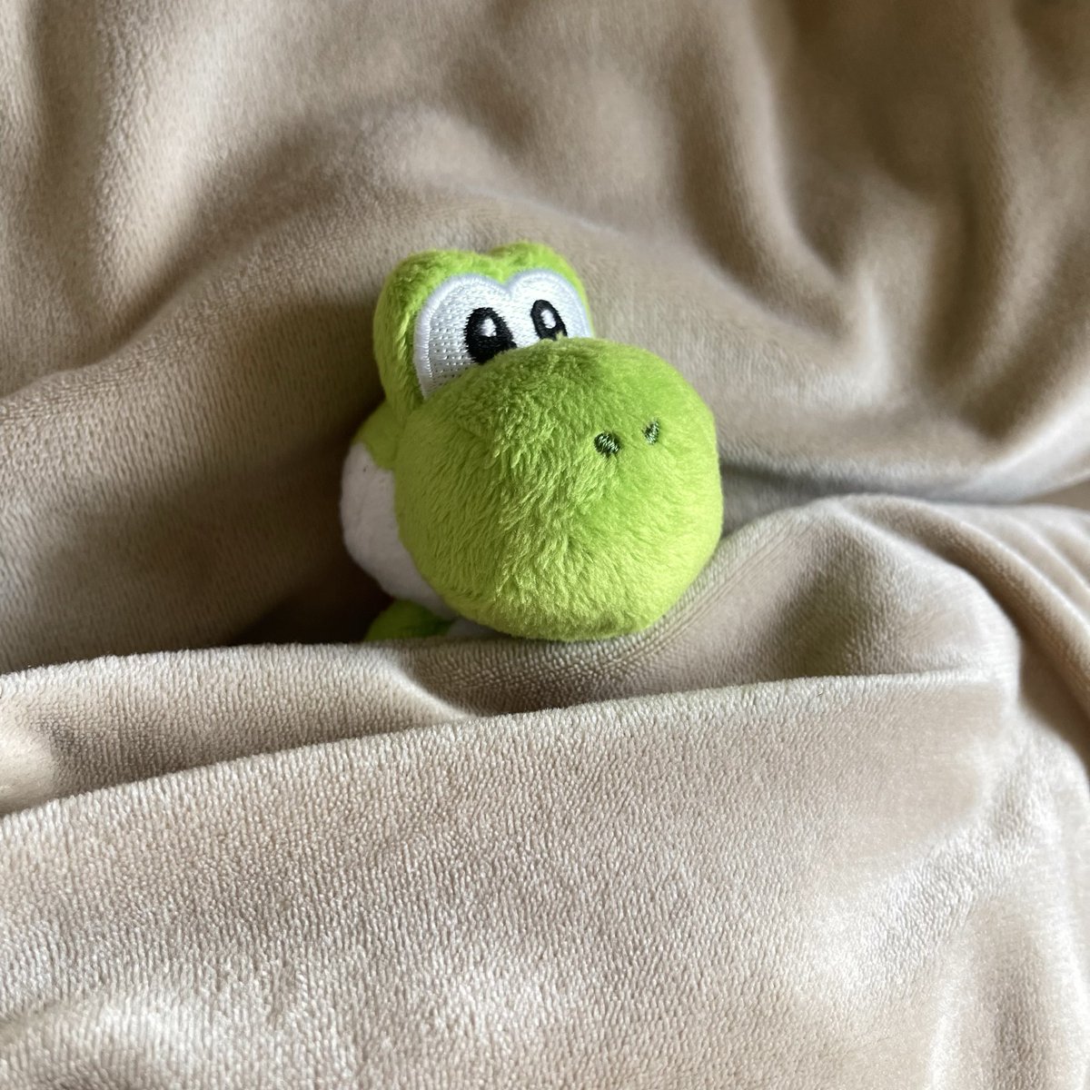 でっていう tweet media