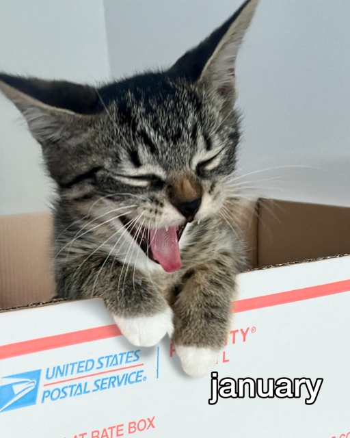 Lennonchild's tweet photo. #NoMoreBoringEnvelopes #MailLove #SendMoreMail #USPS #UnitedStatesPostalService #USPostalService #USPSEmployee https://t.co/u3xH93TgF9 https://t.co/cDFsv67Iub