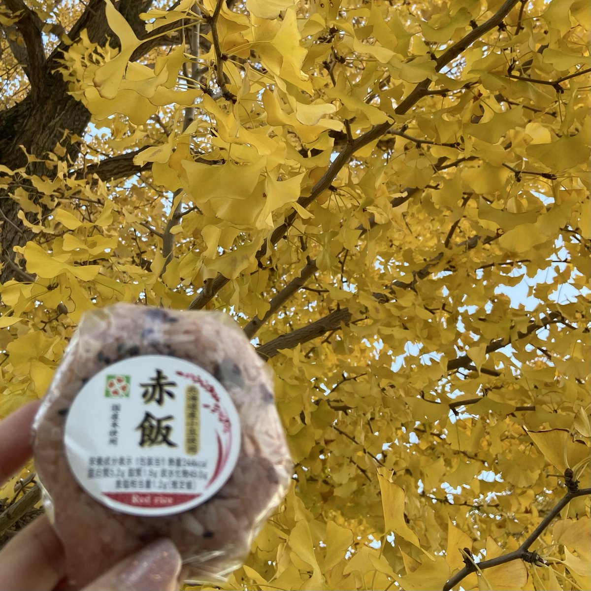 課長風月 風月 (@fgt0119) / Posts / X