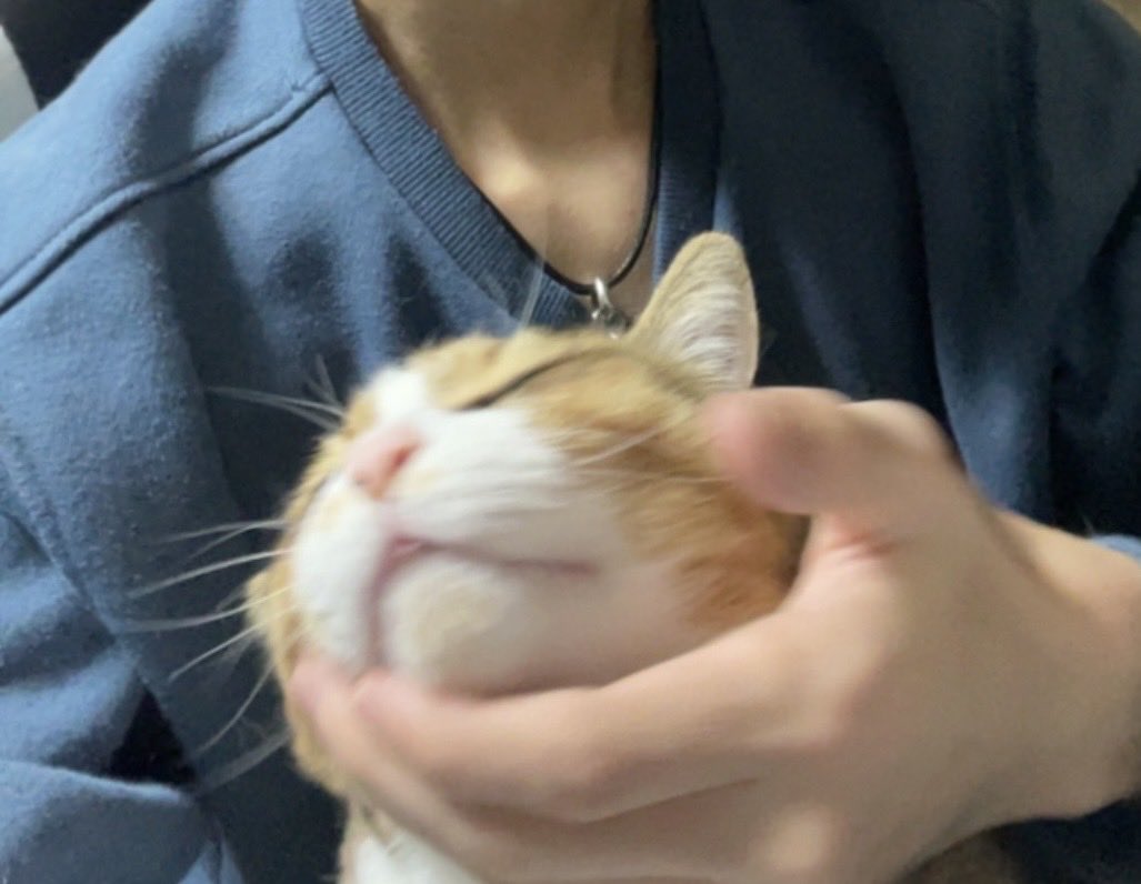 邪念 (@grochamu_u) on Twitter photo 