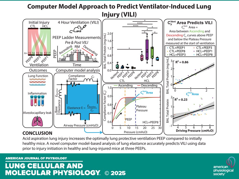 AJPLung's tweet image. Research Article by E Kaye et al. (@CUAnschutz) Computer model-based injury prediction and evaluation of #lungfunction in mice with acute and #ventilator-induced #lunginjuries
ow.ly/xC2B50XhM7l