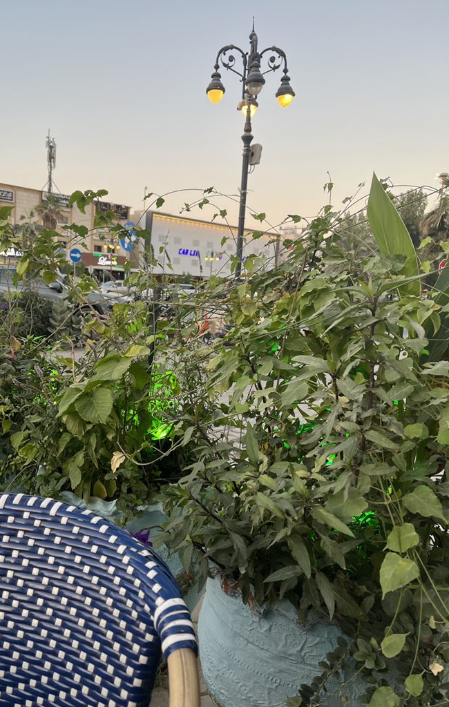 مساء القهوة العربية 
مساء القهوة الأمريكية