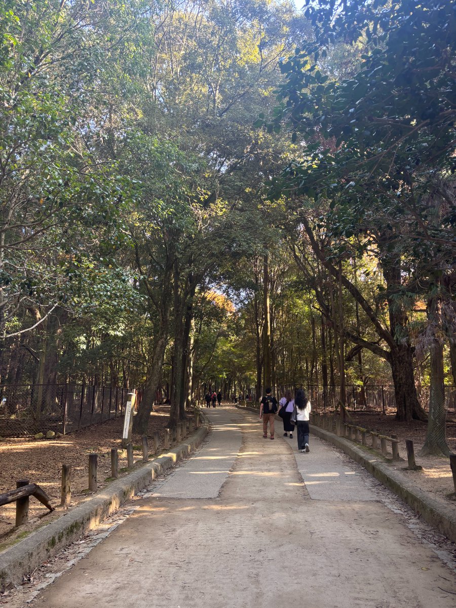 P_C_2023's tweet photo. 某国の観光客が減ったとのことなので、素材収集がてら奈良に行ってきました。
鹿さんいっぱいでした。
※写真はモデルの参考にしていただいて問題ありません。 https://t.co/x6FIJON78Y