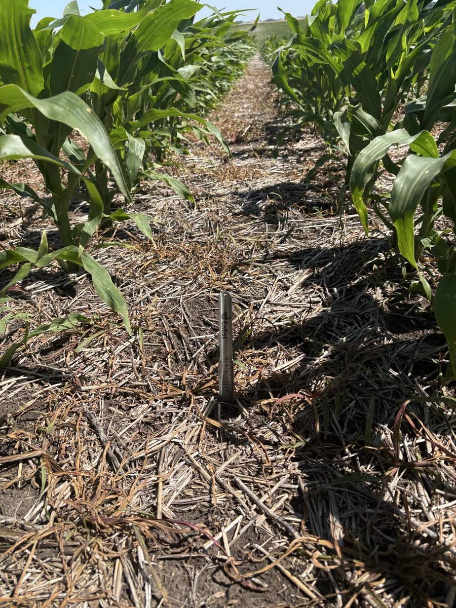 Alvaro Villanueva tweet media