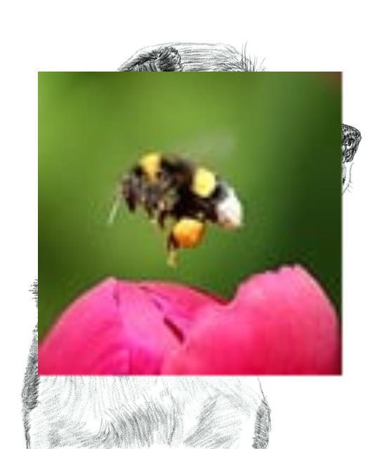 非非 tweet media