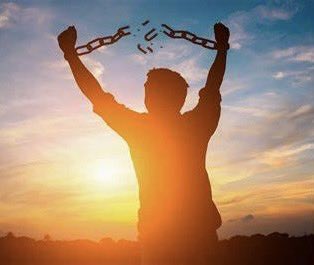 freecathflow's tweet image. When I finally tax loss harvest my crypto etfs