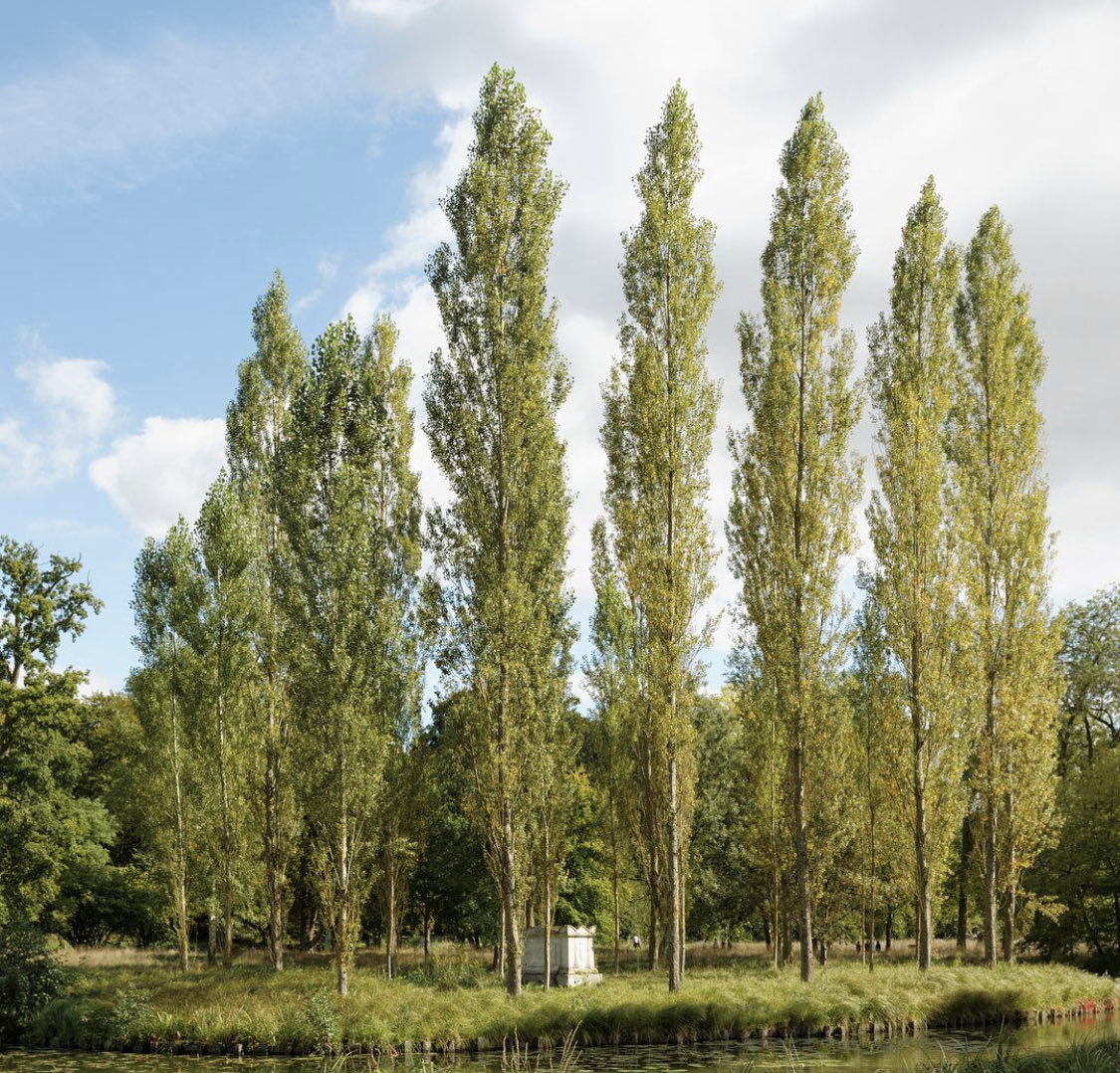 Henry Cameron (@henry__cameron) on Twitter photo 