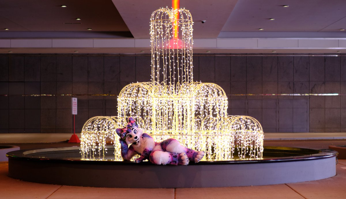 ✨🐈Two Weeks To Go Until I Can Go Full Cat Mode!! 🐈✨

Meow meow everyone! Happy #FursuitFriday ! 

📸 - <a href="/tullembrat/">Tullem @ 🇭🇰🇯🇵 🔜 MFF</a>