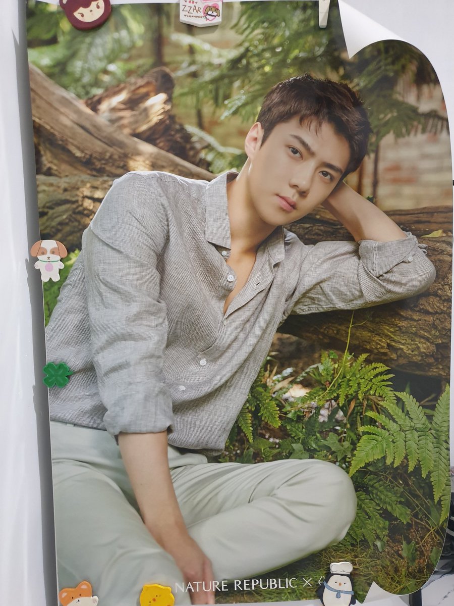 Wts Chanyeol Sehun Kai official poster Nacific, Nature republic, Exploration MD 
s.shopee.co.id/3qFSYJCDyz
#exo #chanyeol #sehun #kai #엑소 #찬열 #세훈 #카이 양도 erisell