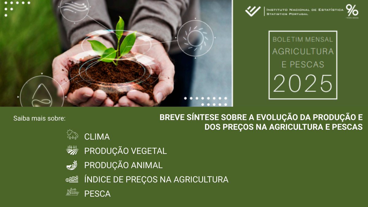 Boletim Mensal Agricultura e Pescas | novembro de 2025

Volume de produção de frango em setembro é o maior nesse mês desde o registo sistemático de dados (1998)

tinyurl.com/36kb3t6m

#pt_ine #destaquedoine #agriculturaepescas