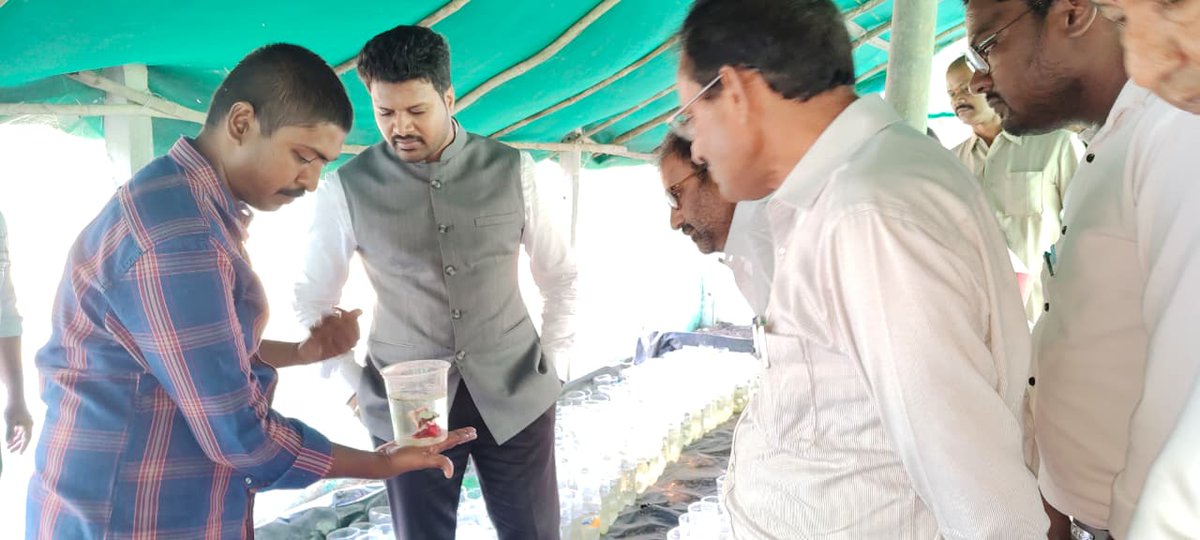 జిల్లాలో ఆర్నమెంటల్ ఫిష్ ఫార్మింగ్‌ కు అన్ని విధాల సహకారం అందిస్తామని కలెక్టర్ ఆర్. మహేష్ కుమార్ హామీ.
పెదమడి గ్రామంలోని రంగురంగుల ఆర్నమెంటల్ చేపల పెంపక కేంద్రాన్ని కలెక్టర్ &amp; ప్రభుత్వ విప్ దాట్ల సుబ్బరాజులు పరిశీలన.
2,000 రకాల ఆర్నమెంటల్ చేపల జాతుల్లో, స్థానికంగా 22 రకాల జాతులు