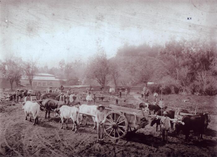 La Quinta Vergara de Viña del Mar en el año 1875.