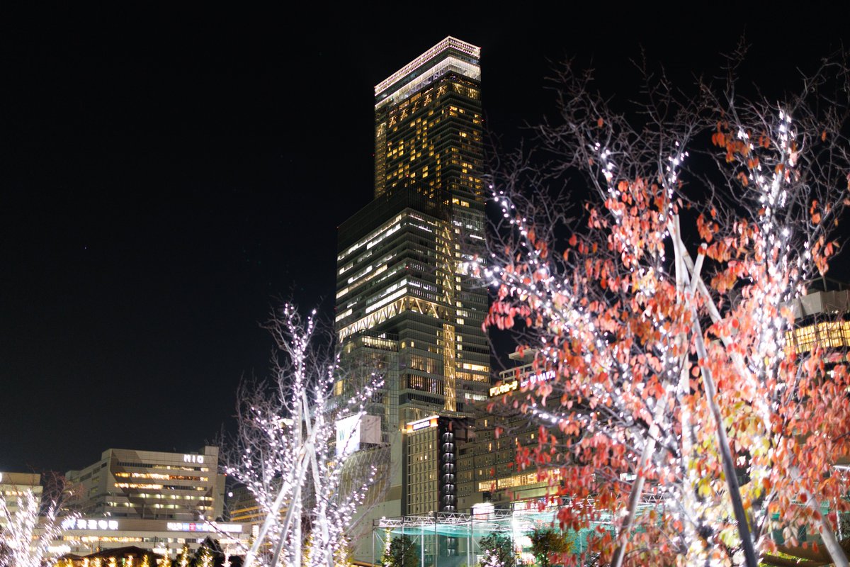 osakabuffaloes's tweet image. 35mmの世界

EOS R6 Mark III

#canon 
#eosr6mark3