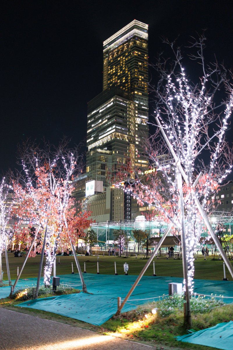 osakabuffaloes's tweet image. 35mmの世界

EOS R6 Mark III

#canon 
#eosr6mark3