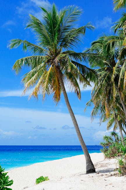 Goddess_CIeo's tweet image. &quot;You can never cross the ocean until you have the courage to lose sight of the shore.&quot; - Christopher Columbus #Quote