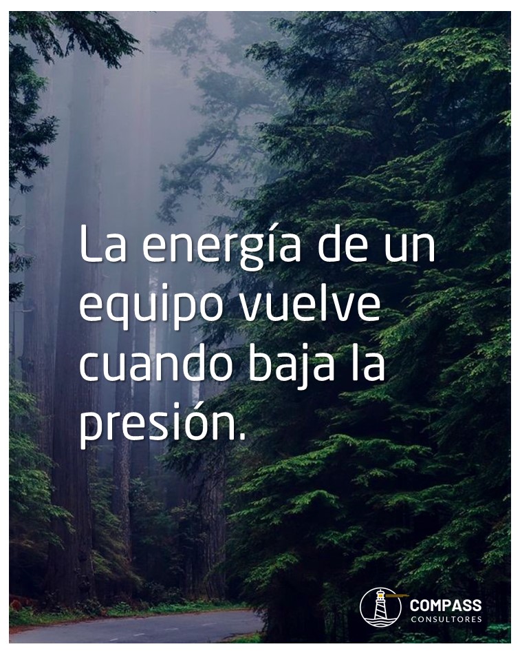 La presión sostenida desgasta.
La claridad, el ritmo y el cuidado devuelven energía.
Los equipos se fortalecen cuando el entorno se vuelve respirable.