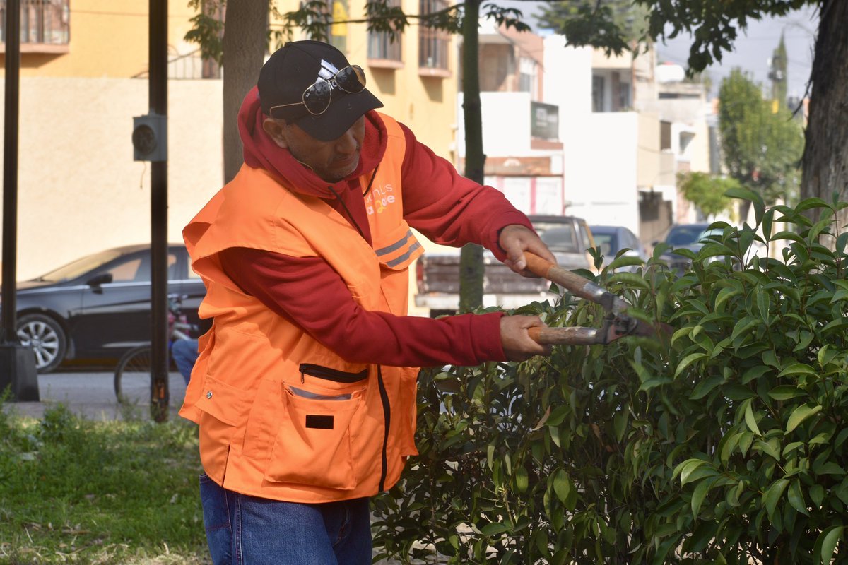 Hoy realizamos trabajos de mantenimiento en la Glorieta Niños Héroes, llevando a cabo deshierbe, poda y la recolección de basura y excedentes para mantener este espacio en óptimas condiciones. 🍃🧹

Seguimos trabajando por un #SanLuisAmable. 🩷