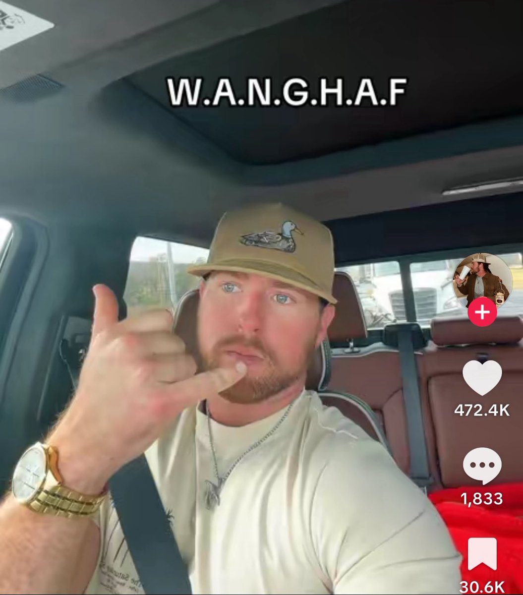 “W.A.N.G.H.F” audio has 3 million views and a half million likes on TikTok 👀 

&gt; groypers winning