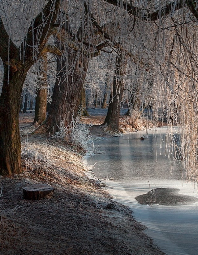 Der Gedanke ist die unsichtbare Natur,
die Natur der sichtbare Gedanke.

- Heinrich Heine -