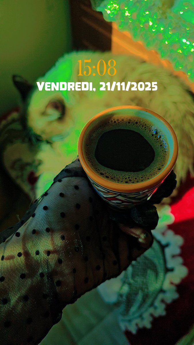 وإن أماتُوا زهرة في جوفِك ، فبستانك مازال حيّا.

“جلال الدين الرومي”💜🩷