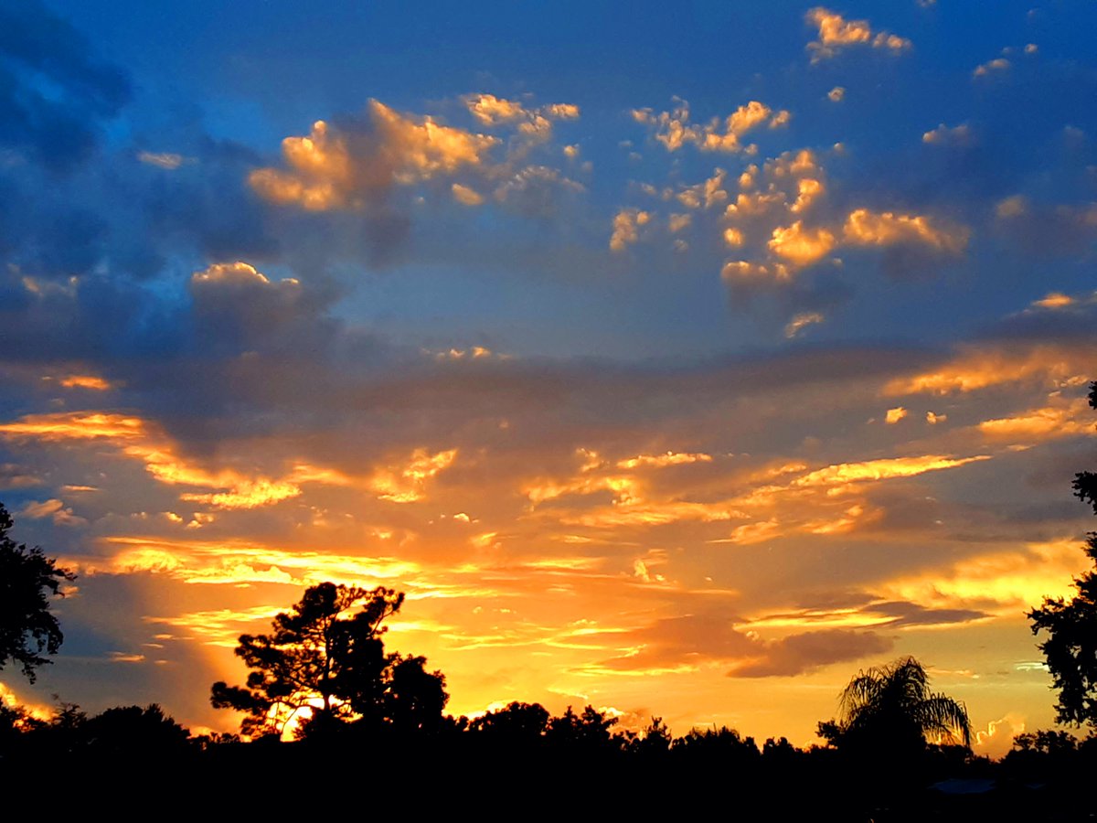 Happy Friday, North Port! ☀️