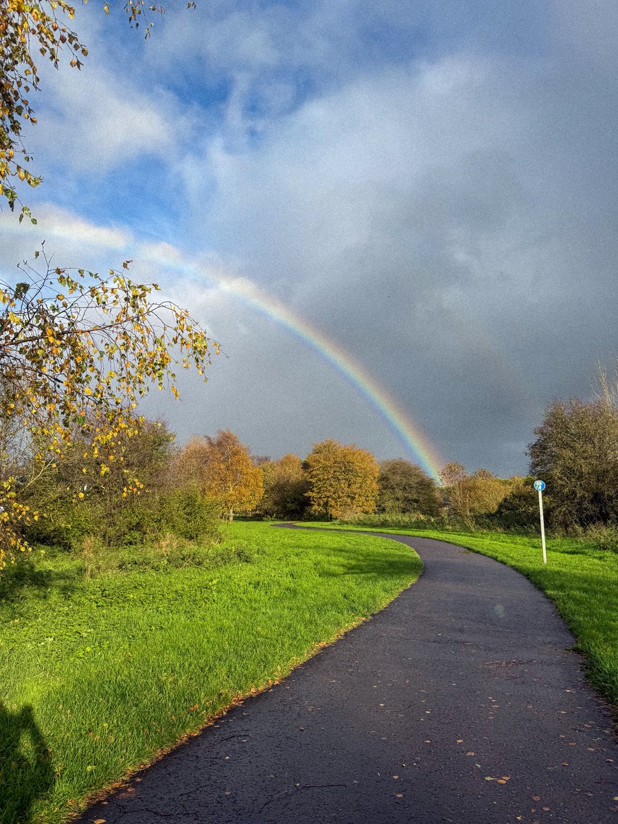 Geilysmc's tweet image. Olvídate de la olla de oro… yo encontré a un irlandés. 💚✨
Forget the pot of gold… I found an Irishman instead. 💚✨
@MarkOSullivan94