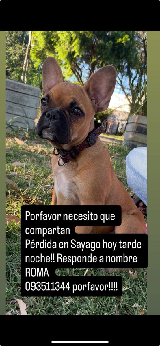 🙏🏻🙏🏻🙏🏻